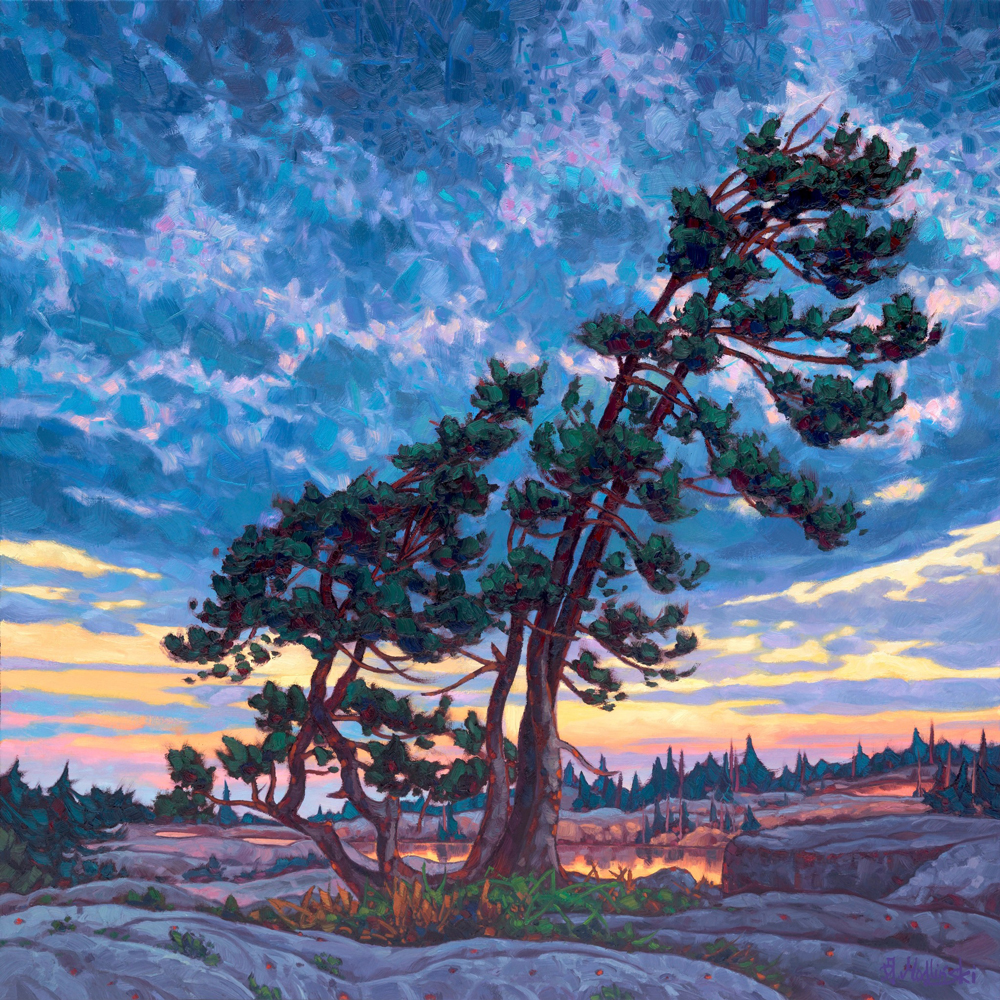 Golden Hour Georgian Bay