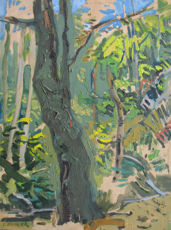 Tree Trunk Todd Tremeer