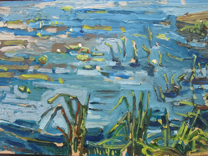 waterplants Killarney Todd Tremeer