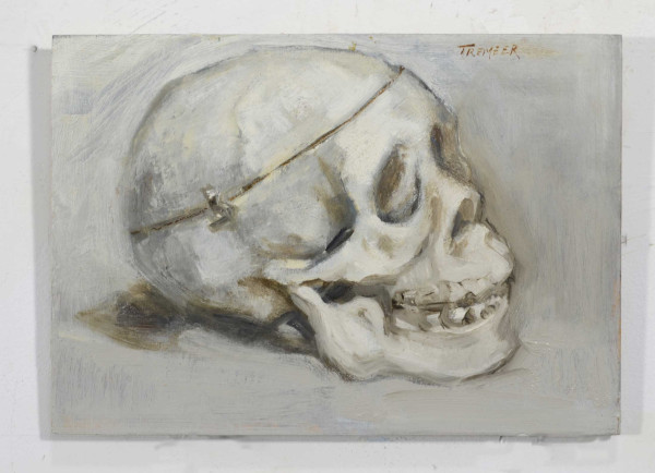 skull