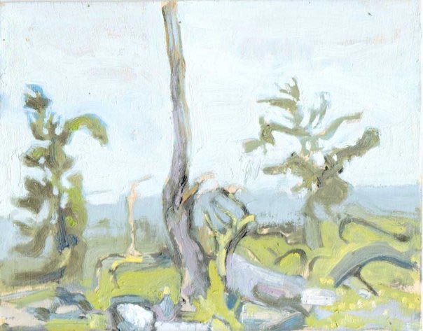 todd tremeer
